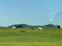 IMG_8769