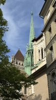 IMG_8911