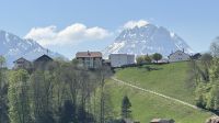 IMG_9016