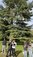 IMG_3829