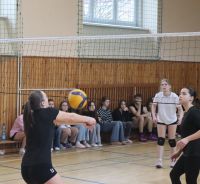 IMG_0485