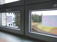 Kvinta